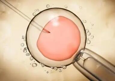 胚胎移植后的住院保胎黄金时间是什么时候